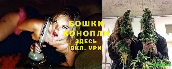 гашик Михайлов