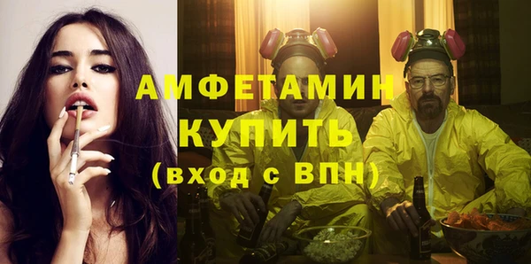 гашик Михайлов