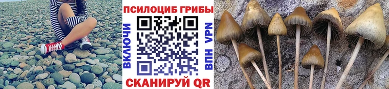Галлюциногенные грибы MAGIC MUSHROOMS  где купить наркотик  Железногорск 