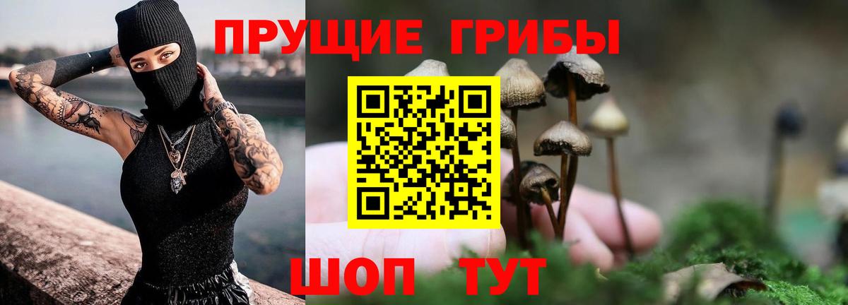 Псилоцибиновые грибы Psilocybe  Галлюциногенные грибы MAGIC MUSHROOMS  Железногорск  Вход с VPN 