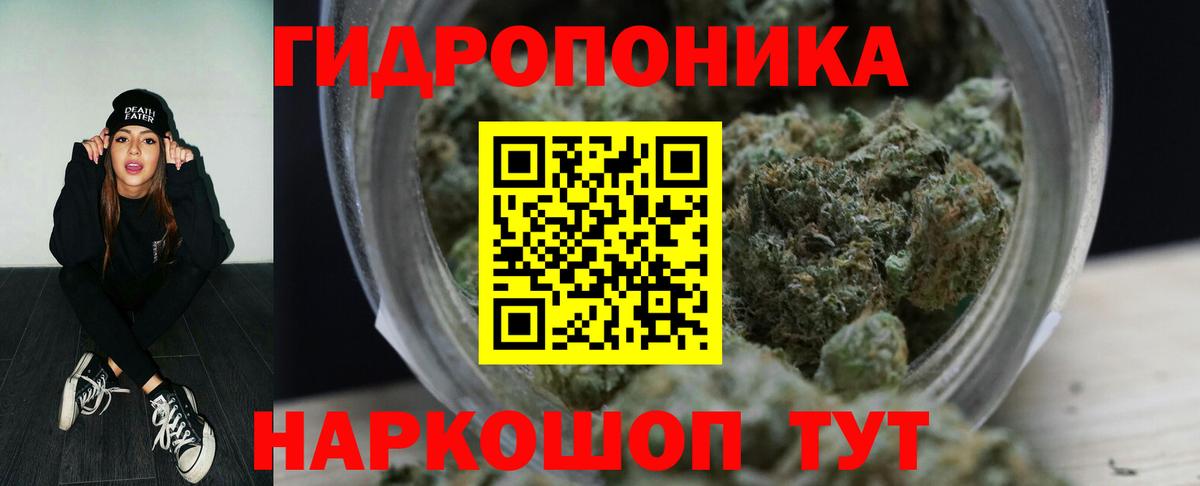 Шишки марихуана планчик  Вход с VPN  Бошки марихуана LSD WEED  Железногорск  Марихуана Amnesia  Шишки марихуана сатива 